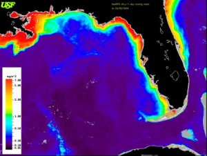 chlorophyll image